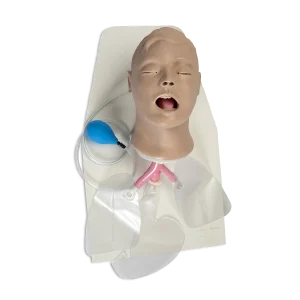 Nasco Ayaklı Airway Larry Yetişkin Solunum Yolu Yönetimi Eğitmeni